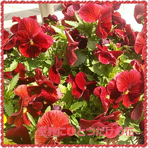 rblog-20160331210322-00.jpg