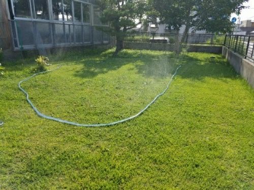 rblog-20180728223618-01.jpg