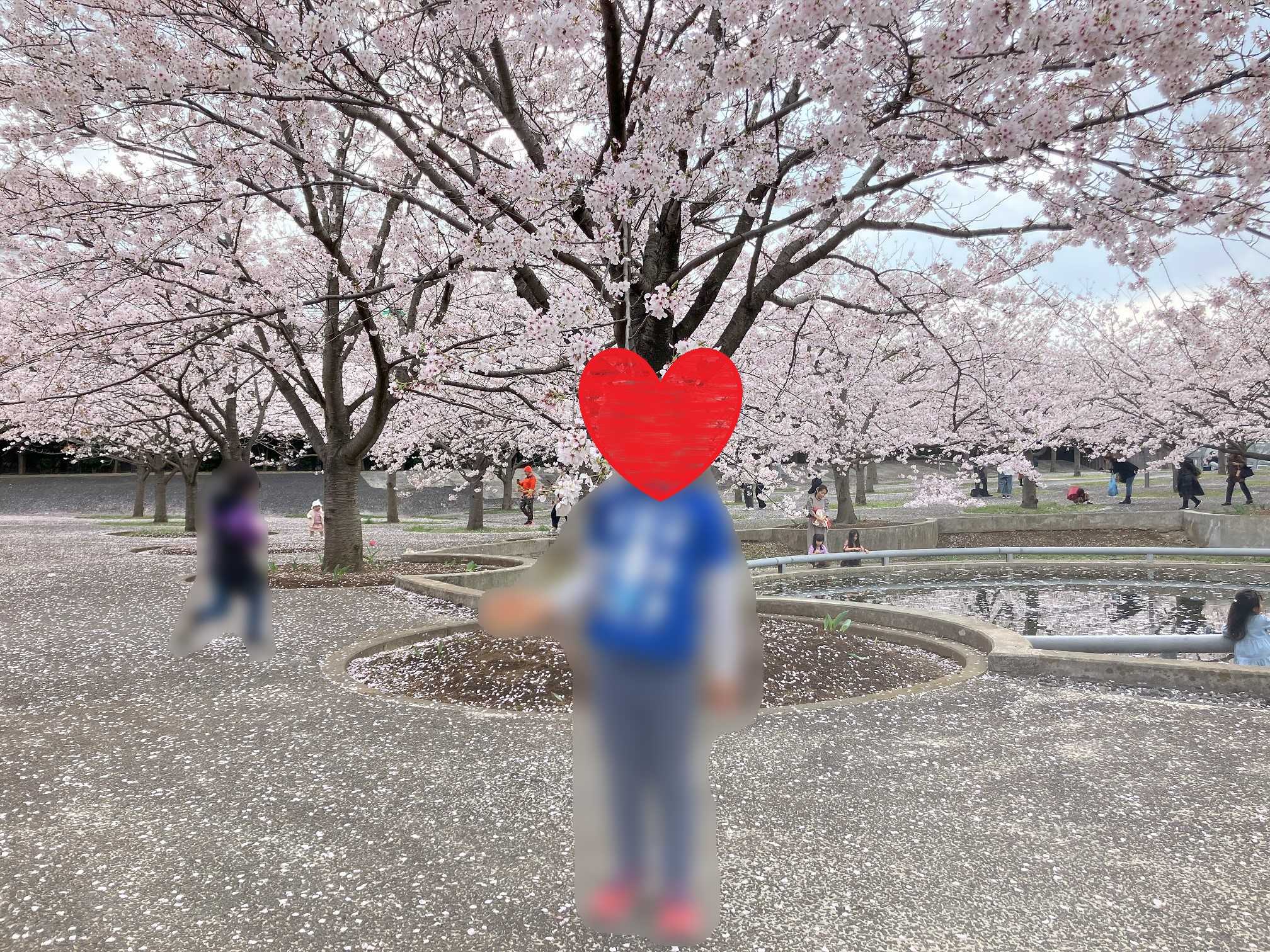 2023年幕張さくら広場お花見