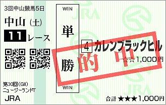 ニュージーランドＴ12