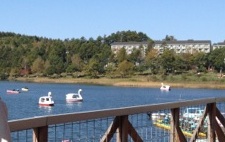 2013101312.jpg