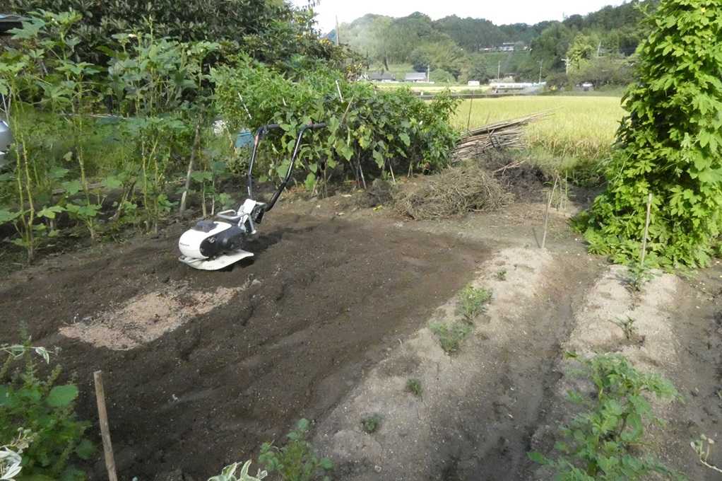 515