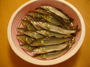 鮎
