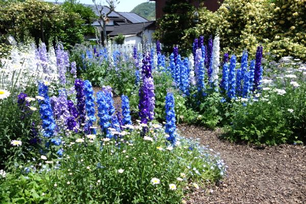 rblog-20180504210609-02.jpg