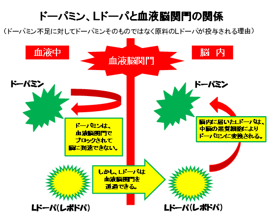 36ページ目の カテゴリ未分類 本当の美しさを求めてーかぐや治療院 楽天ブログ