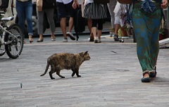 IMG_6770-6.jpg