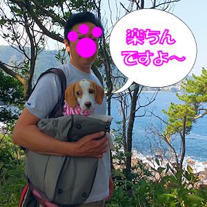 20140930楽ちん
