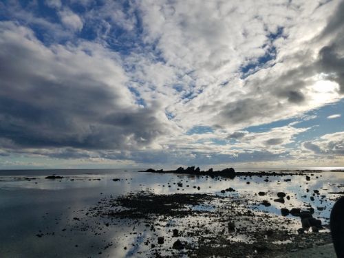 rblog-20181116235606-01.jpg
