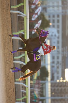 返し馬