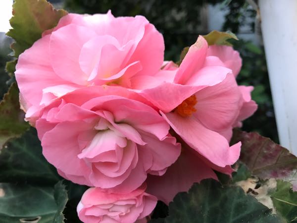 rblog-20181108170137-06.jpg