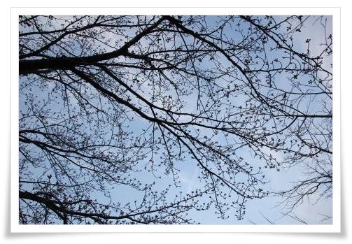 金沢地方気象台-3 15.3.31