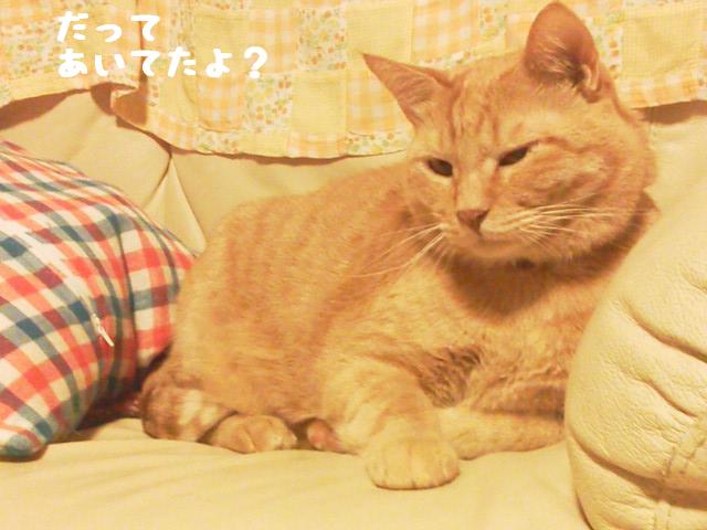 だって