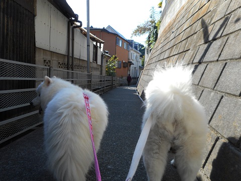 DSCN0575.JPG