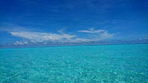 rblog-20160811192014-01.jpg