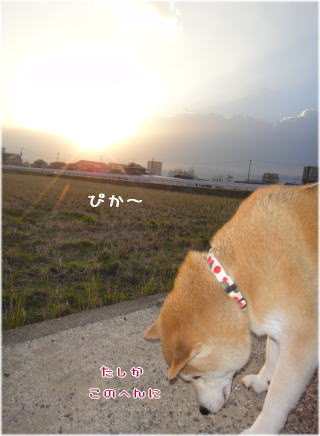 0101パンちゃんと3.jpg
