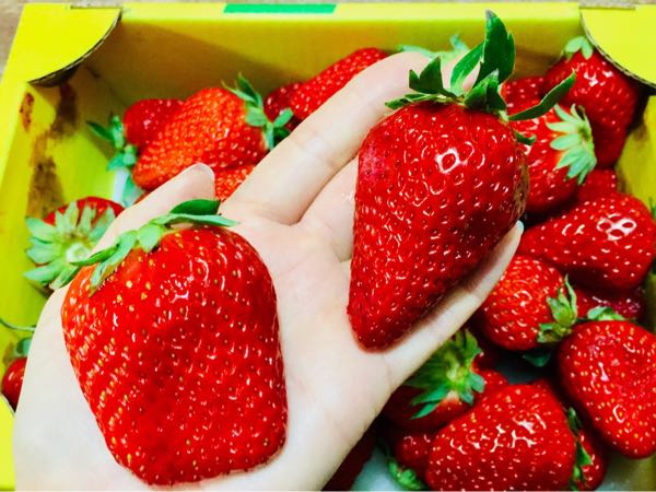 rblog-20180127152410-03.jpg