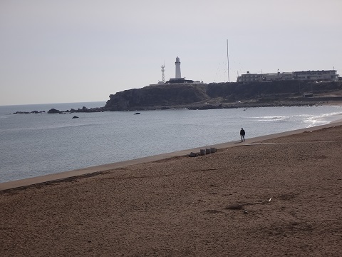 DSC07973.JPG