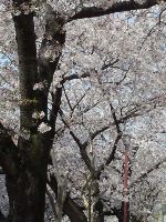 rblog-20130404210553-01.png