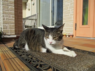 IMG_0657ss.jpg