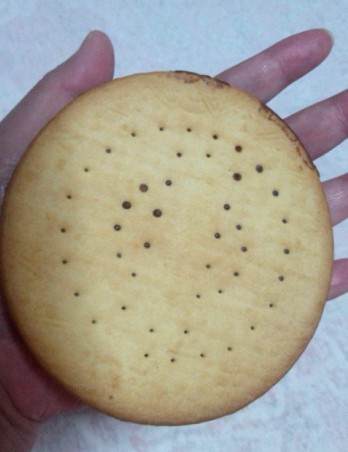 大きなビスケット手のひら大