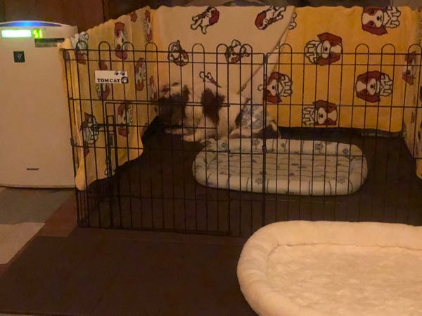 rblog-20180429141248-01.jpg