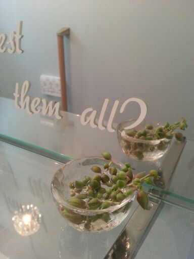 rblog-20140723204301-01.jpg