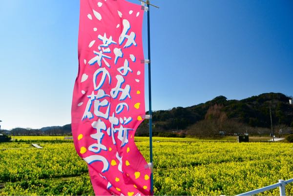 rblog-20170208101901-01.jpg