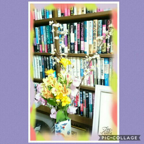 rblog-20190206213056-01.jpg