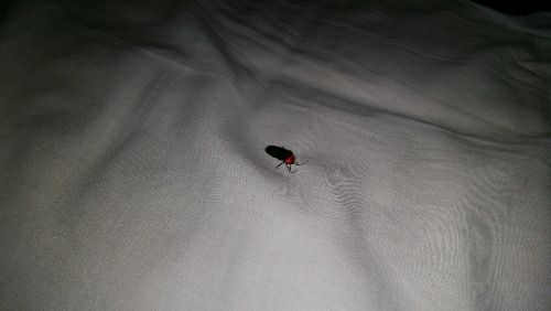 rblog-20180624222440-01.jpg