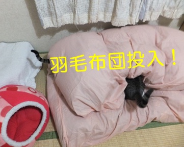20121028_2.jpg