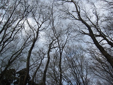IMG_8104.JPG