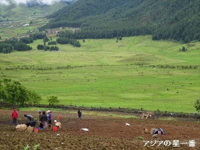 20160728 ポブジカ7
