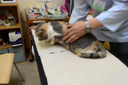 2012.5.17wa2.jpg