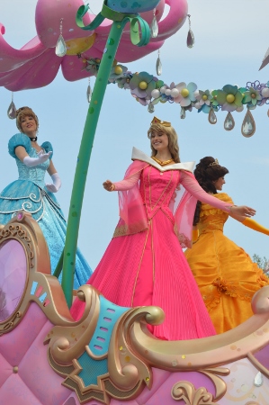 DSC_0314 (299x450).jpg