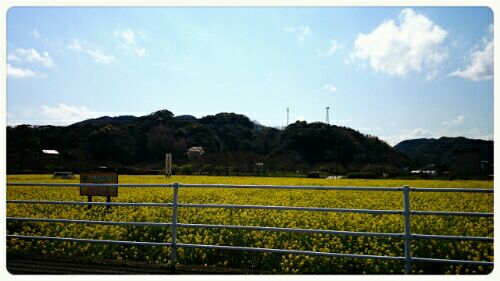rblog-20160325154642-02.jpg