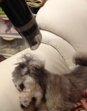 20121024d.JPG
