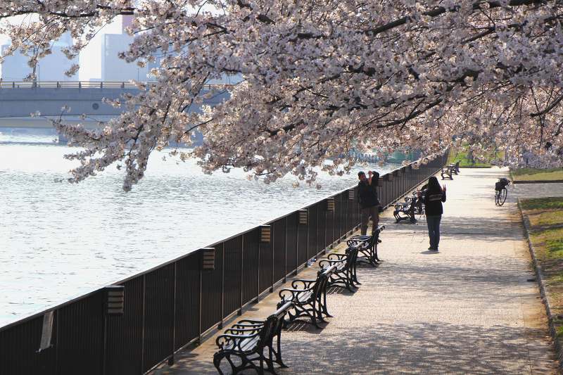 大阪城公園_3-2.jpg