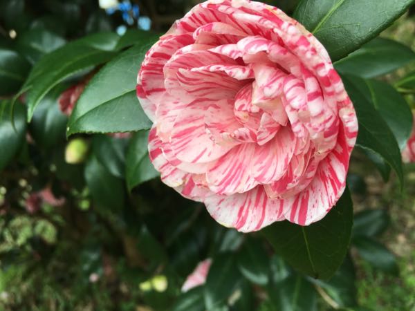 rblog-20170407091430-01.jpg