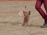 20121104132207[1].jpg
