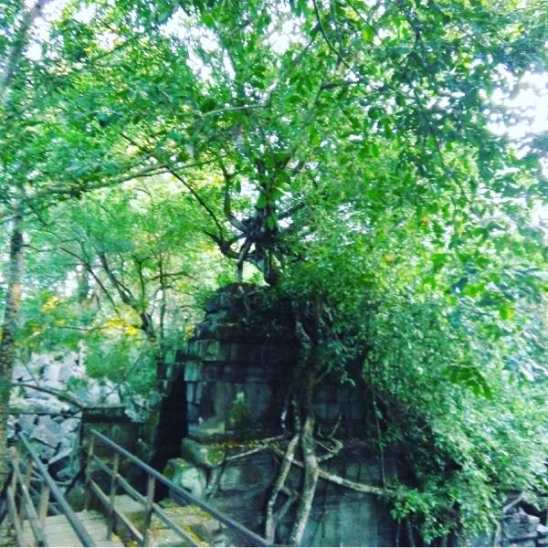 rblog-20180612170724-01.jpg