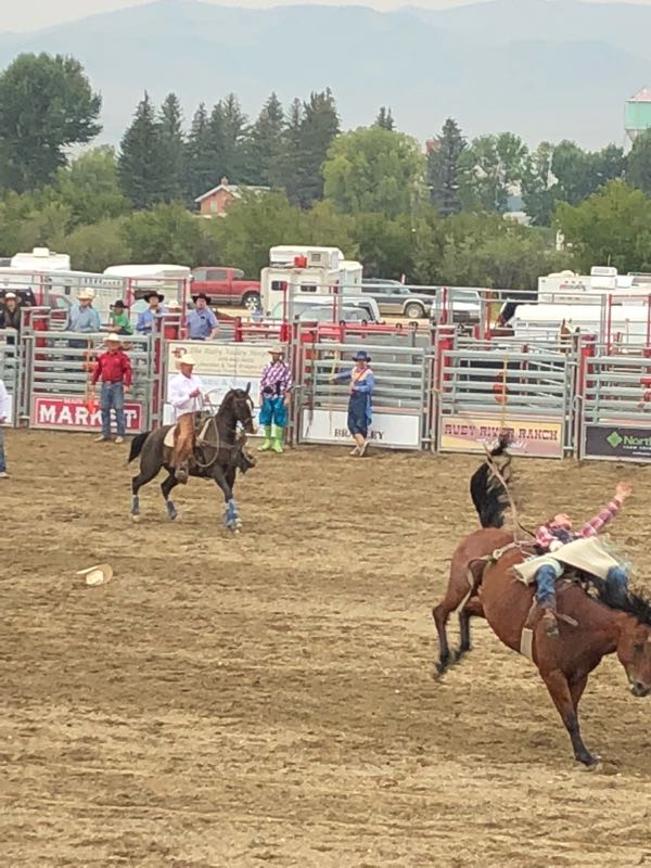 ツインブリッジ Twin bridges シェリダン モンタナ 楽天ブログ