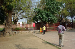 インド981.jpg