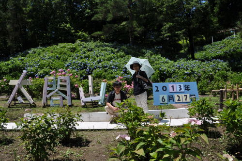 太閤山　あじさい祭り