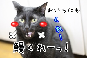 画像 247.jpg