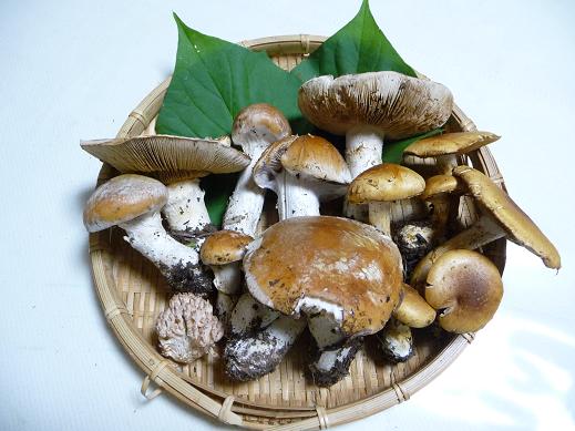 収穫