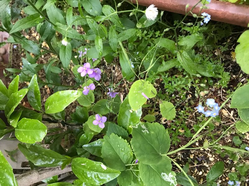 rblog-20180429183115-09.jpg