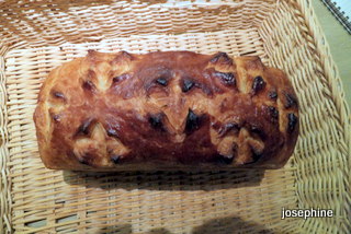 DSCF8487.JPG