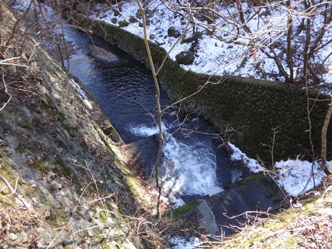 DSC03756.JPG