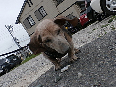 conv0566.JPG