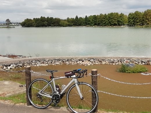 ここからコスモスルームまで自転車で